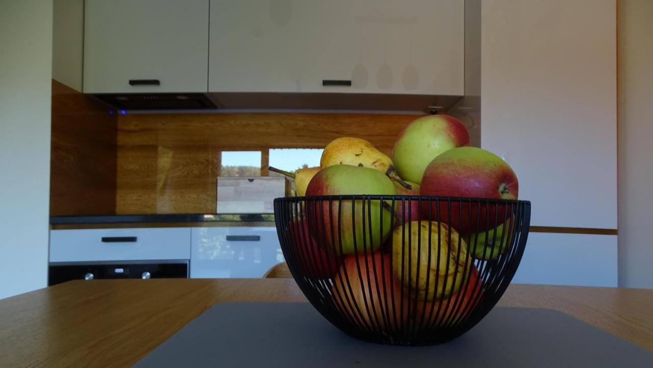 שצ'קלארסקה פוראובה Apartament Delux 2 מראה חיצוני תמונה