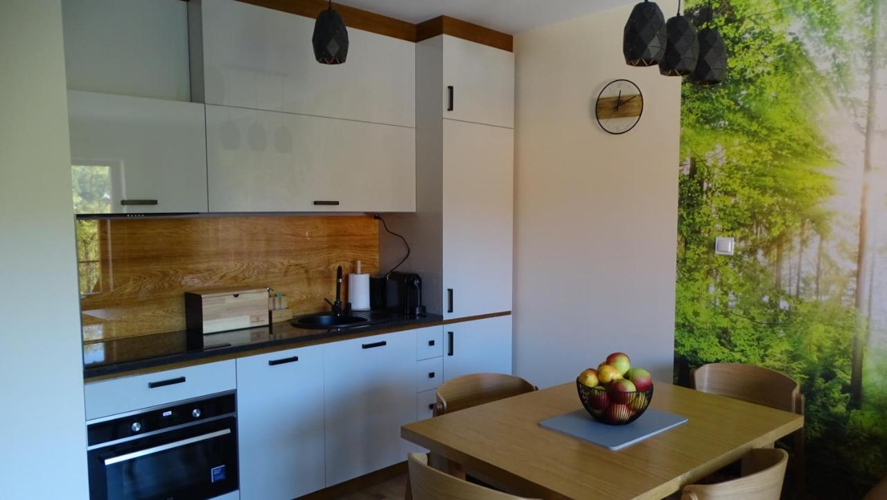 שצ'קלארסקה פוראובה Apartament Delux 2 מראה חיצוני תמונה